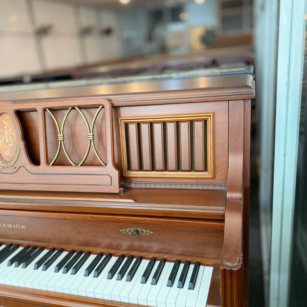 SAMICK JS-300NST - Ảnh 3