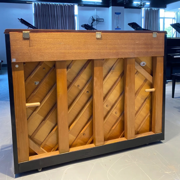 SAMICK JS-300NST - Ảnh 7